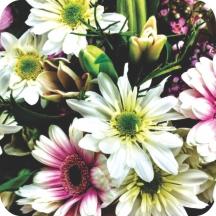  Flowers of Summer Air Freshener | My Air Freshener